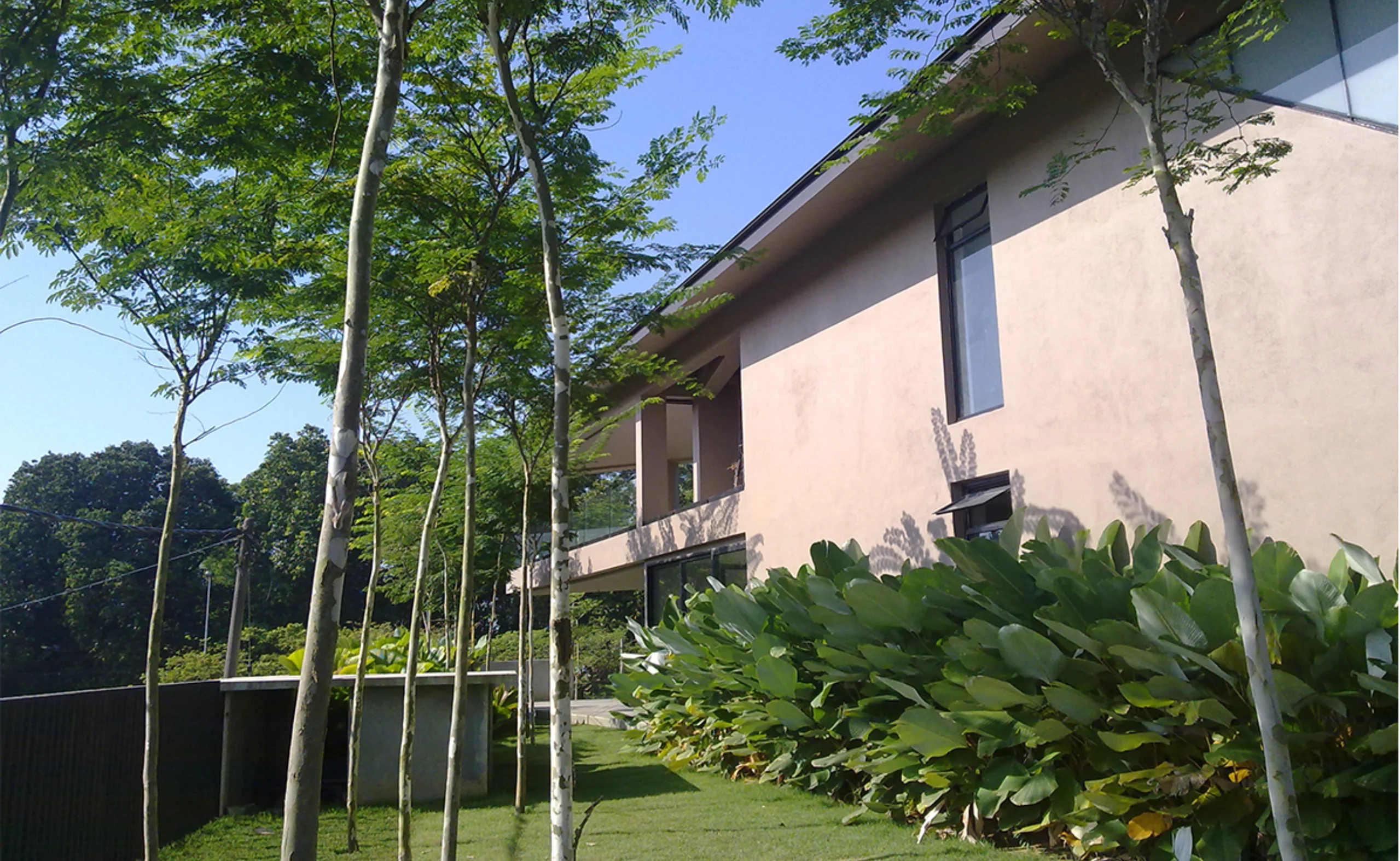 Dynamic Content Image